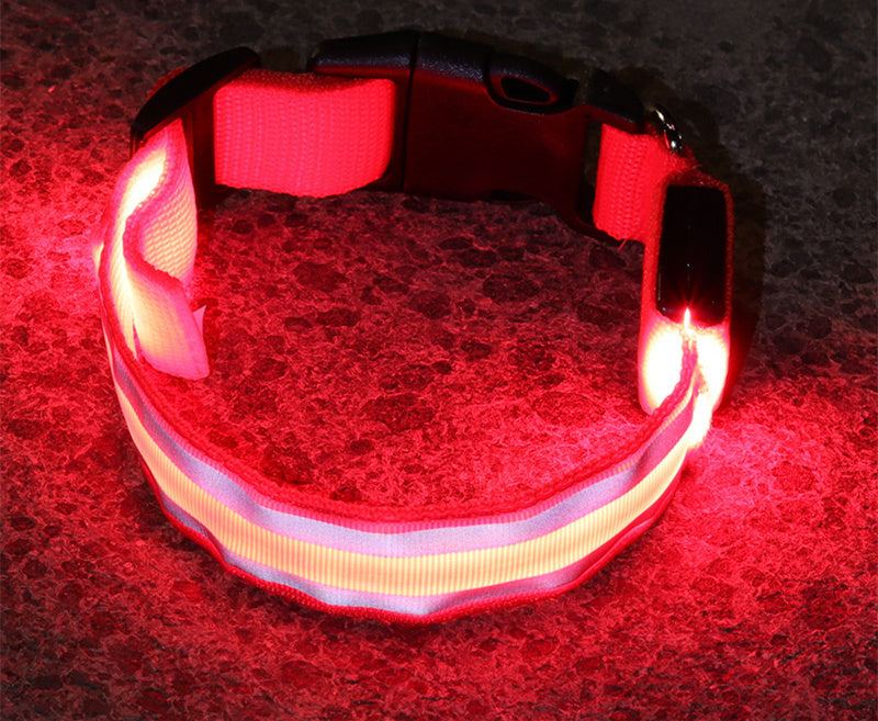 NightGlow collar-Never Lose Your Dog Again