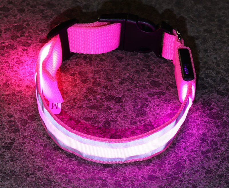 NightGlow collar-Never Lose Your Dog Again