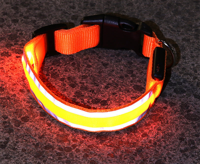 NightGlow collar-Never Lose Your Dog Again