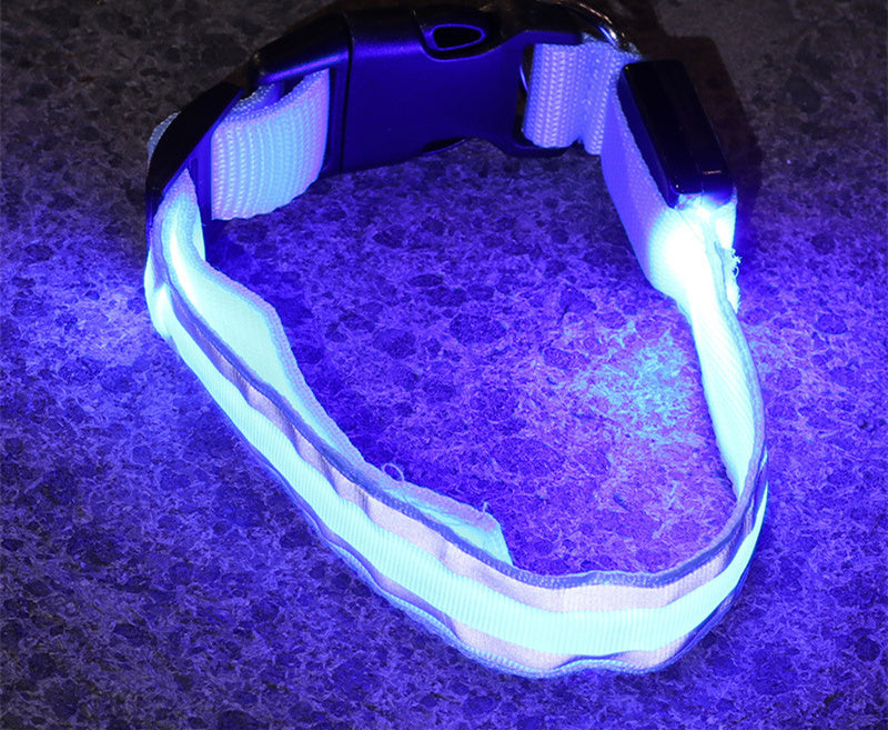 NightGlow collar-Never Lose Your Dog Again