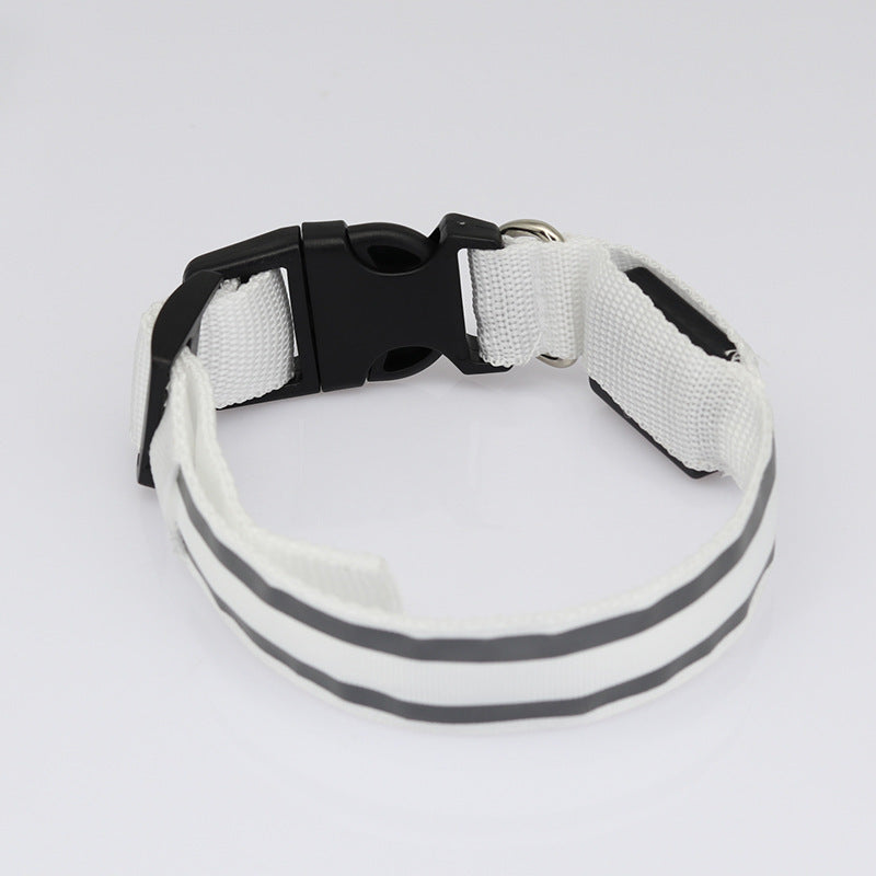 NightGlow collar-Never Lose Your Dog Again