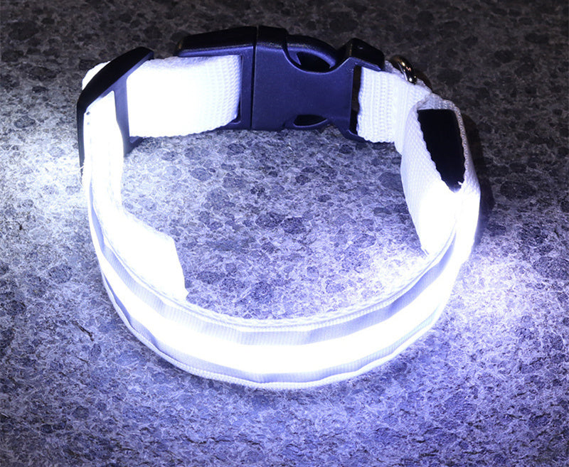 NightGlow collar-Never Lose Your Dog Again