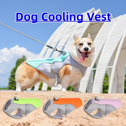 Summer cooling Vest for pets: Heat-Resistant, Breathable & Comfortable!