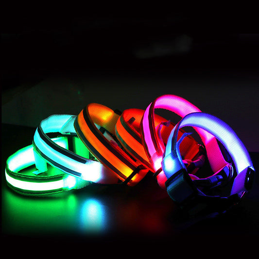 NightGlow collar-Never Lose Your Dog Again