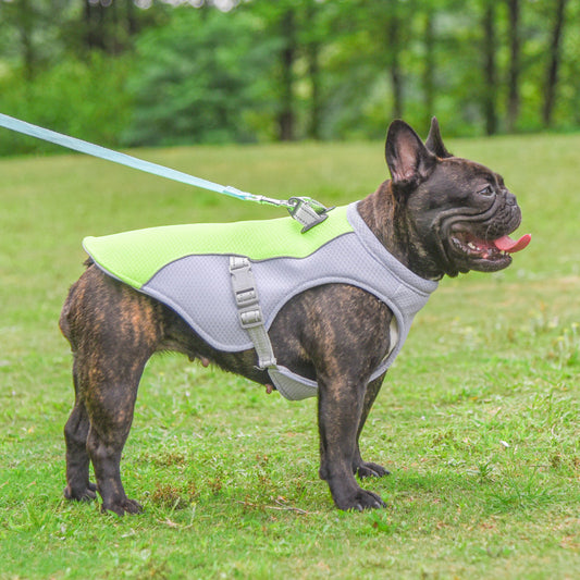 Summer cooling Vest for pets: Heat-Resistant, Breathable & Comfortable!